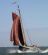 Onder vol zeil op de Waddenzee (foto Ciska van Geer)